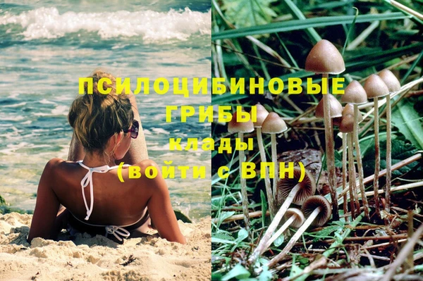 каннабис Абаза
